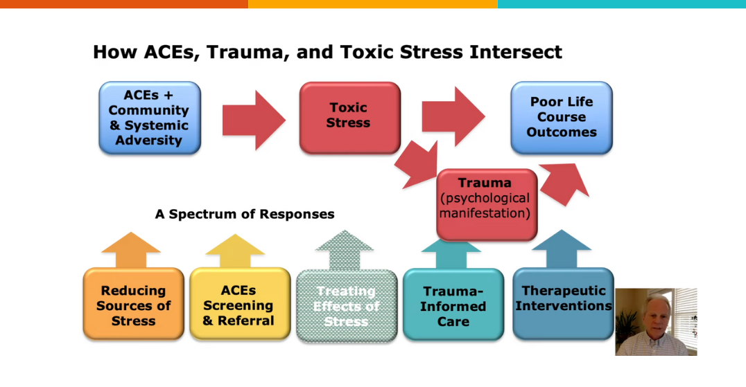What is toxic stress?
